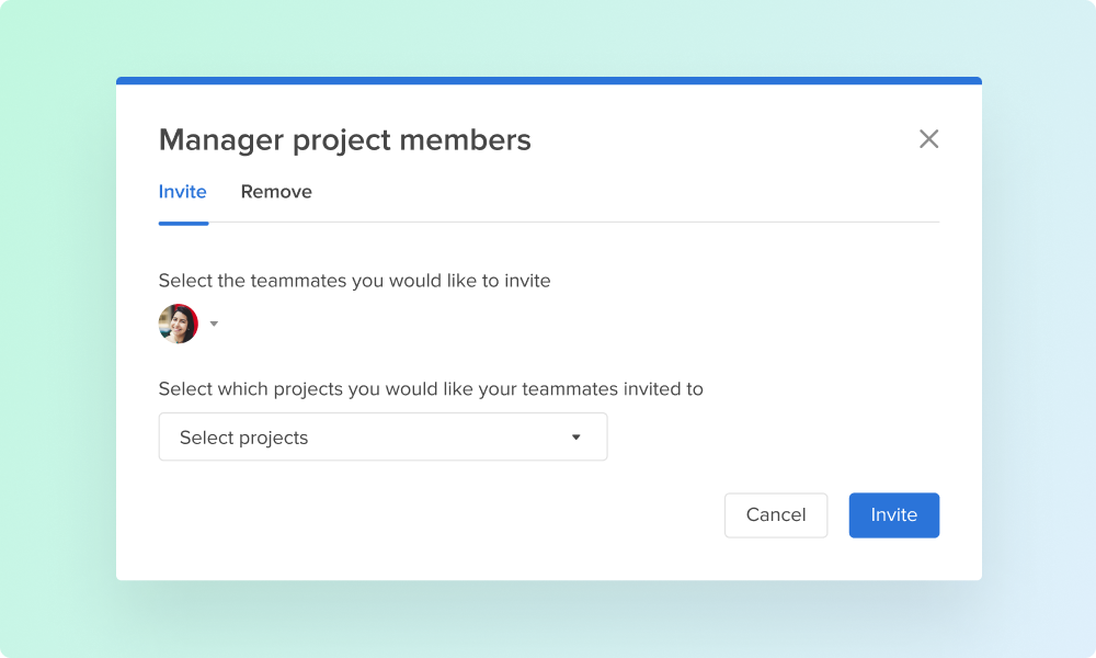 add remove multiple project members